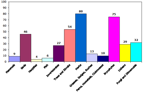 2010 bioblitz species count bar graph