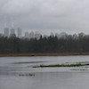 landscape shot of the lake with burnaby city skyline in background